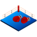 boxeparissportifs.com